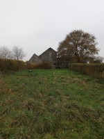 Schuur